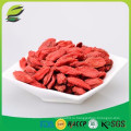 Himalayan goji ягода антивозрастной крем для лица goji ягоды